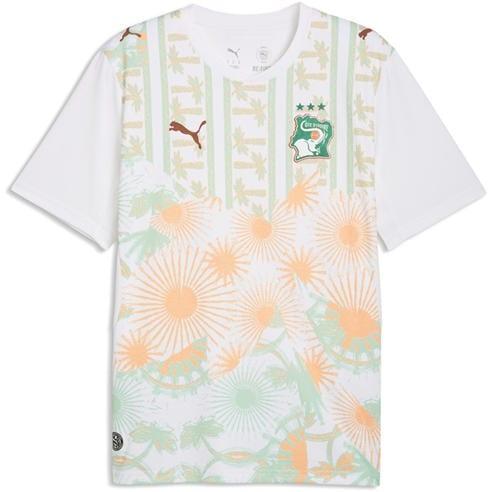 Mens Ivory Coast Away Shirt World Cup 2026™